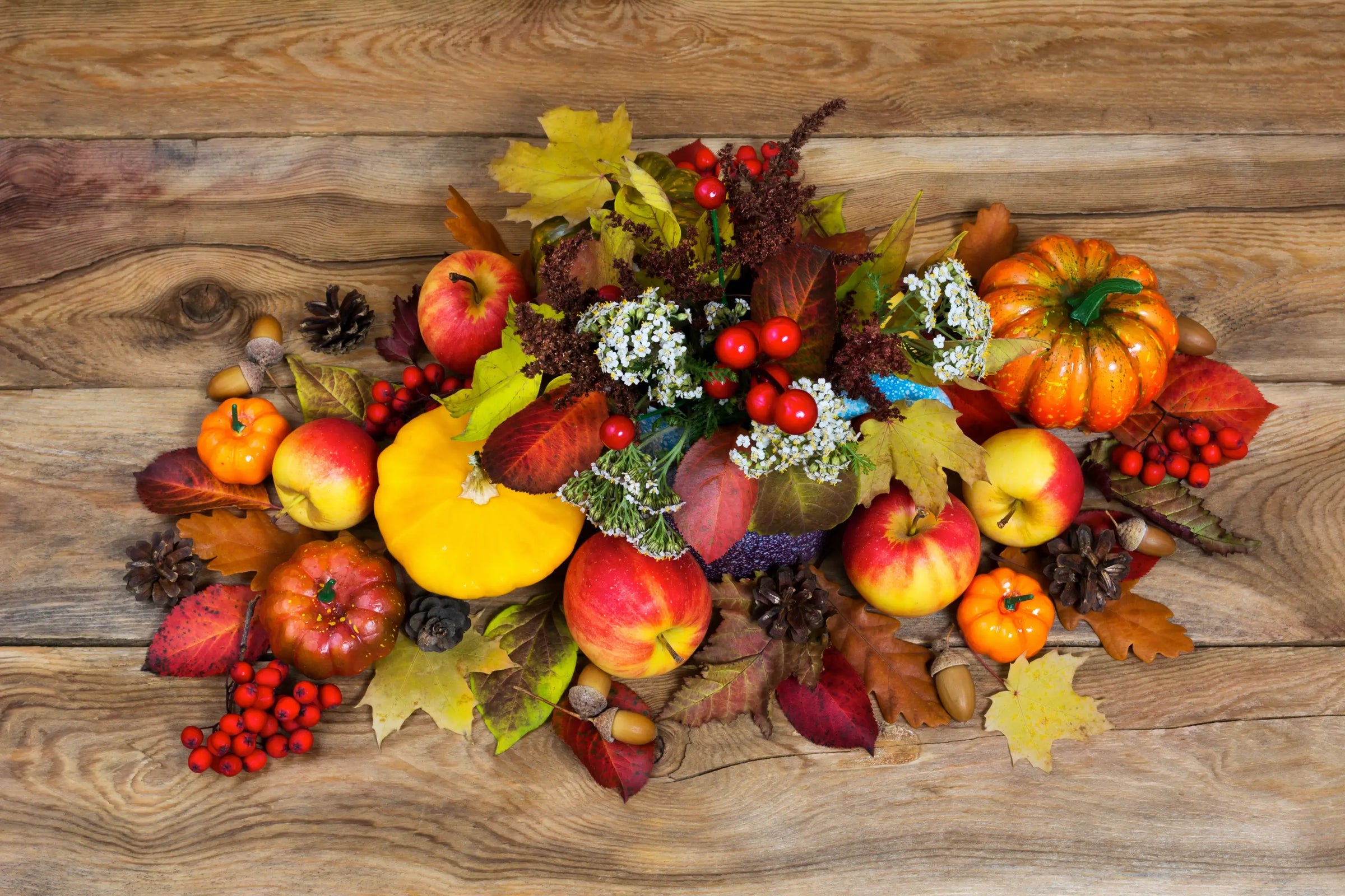 Fall Flowers