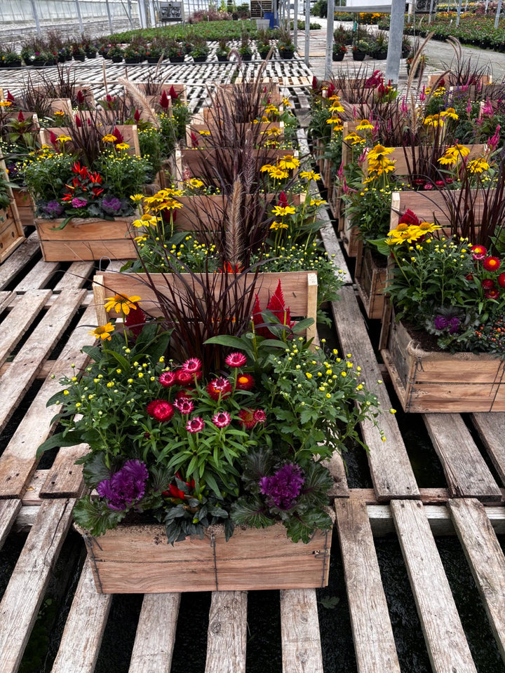 Fall Planter