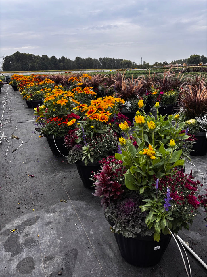 Fall Planter